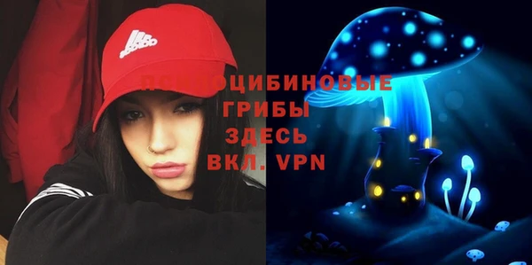 2c-b Алексеевка